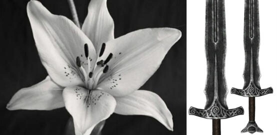 real eyes realize real lies.